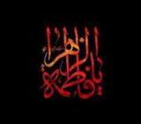 چه عواملی باعث شهادت حضرت زهرا(س) شد؟