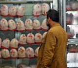 نظارت بر عرضه مرغ در گیلان    تشدید         شد