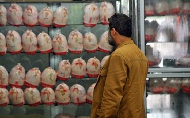 نظارت بر عرضه مرغ در گیلان    تشدید         شد