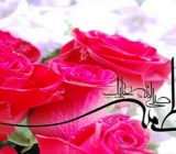 ۴۴۰ بقعه متبرکه گیلان میزبان جشن‌ میلاد حضرت زهرا (س) هستند