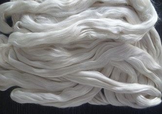 اجرای طرح تولید ۱۰ محصول سالم در روستاهای گیلان