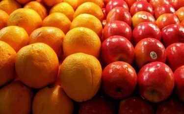 آغاز توزیع میوه و خرما در ۵۱ نقطه‌ گیلان