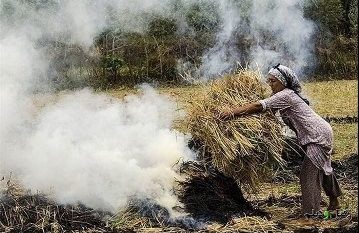 ممنوعیت آتش زدن کاه و کلش پس از برداشت محصول برنج در گیلان