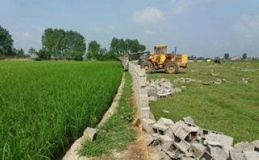 تغییر کاربری غیرمجاز اراضی کشاورزی، تهدید امنیت غذایی است