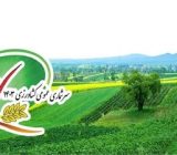 آغاز سرشماری کشاورزی از شنبه آینده با مشارکت ۸۵۰ آمارگیر