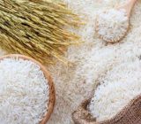 نرخ خرید تضمینی برنج اعلام شد