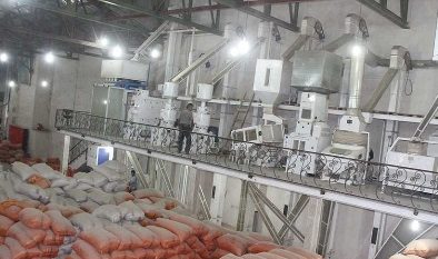 تجهیز ۲۰۰ واحد شالیکوبی گیلان به سورتینگ