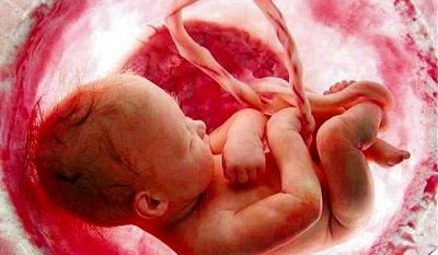 ذخیره سازی خون بند ناف؛ سرمایه گذاری طولانی مدت برای سلامت فرزندان