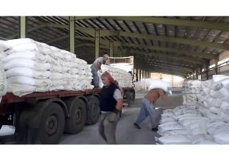 ۱۷ هزار تن کودشیمیایی بین شالیکاران گیلان توزیع شد