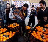 آغاز عرضه میوه تنظیم بازار نوروز از ۲۰ اسفند 