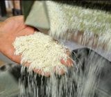 نرخ تبدیل شلتوک به برنج سفید در گیلان ابلاغ شد