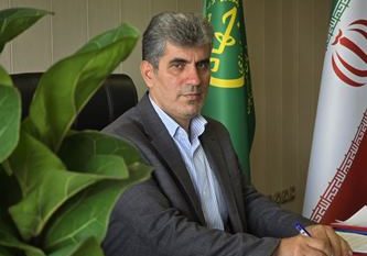 نوسانات شدید قیمت برنج موجب نگرانی عمومی شده است