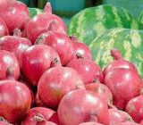 طرح نظارتی ویژه شب چلّه در گیلان اجرا می‌شود